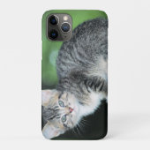 Coques Case-Mate iPhone Kitten (Dos)