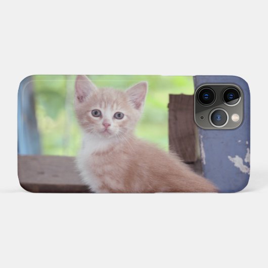 Coques Case-Mate iPhone Kitten (Dos (Horizontal))