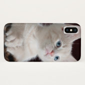 Coques Case-Mate iPhone Kitten blanc vulnérable (Dos (Horizontal))