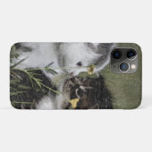 Coques Case-Mate iPhone Kitten, mignonne, nature (Dos (Horizontal))