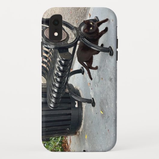 Coques Case-Mate iPhone Kitty dans le parc (Dos)