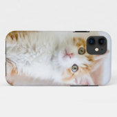 Coques Case-Mate iPhone Kitty observé par bleu doux (Dos (Horizontal))