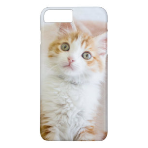 Coque Case-Mate Pour iPhone Kitty observé par bleu doux