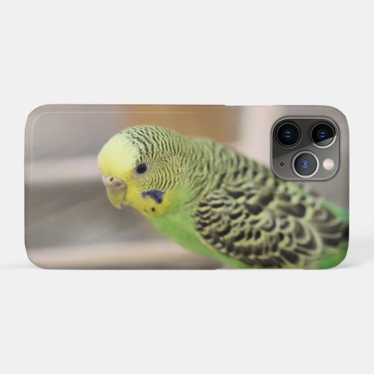 Coques Case-Mate iPhone Kiwi (Dos (Horizontal))