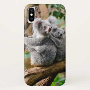 Case-Mate iPhone Case Koala avec bébé dans un arbre en Australie