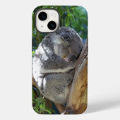 Coques Case-Mate iPhone Koala dormant dans l'arbre (Verso)