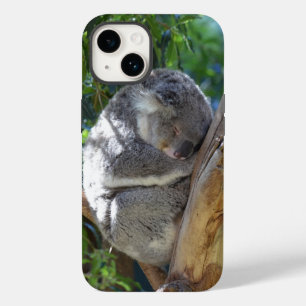 Coque Pour iPhone 14 Koala dormant dans l'arbre