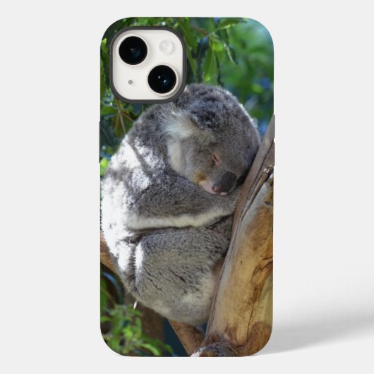 Coques Case-Mate iPhone Koala dormant dans l'arbre (Verso)