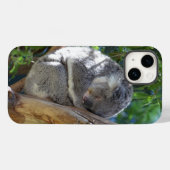 Coques Case-Mate iPhone Koala dormant dans l'arbre (Verso (horizontal))