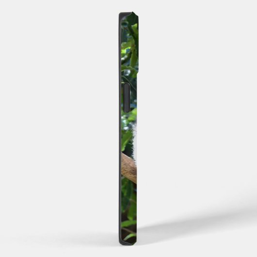 Coques Case-Mate iPhone Koala dormant dans l'arbre (Verso / Droite)