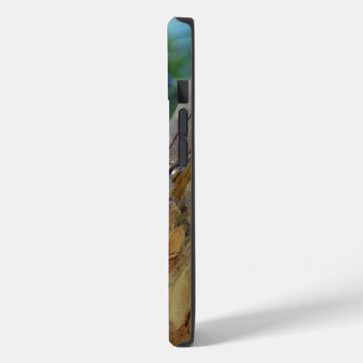 Coques Case-Mate iPhone Koala dormant dans l'arbre (Verso / Gauche)