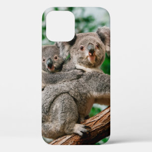 Case-Mate iPhone Case Koala, phascolarctos cinereus, Femme qui vous port
