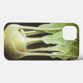 Coques Case-Mate iPhone Kohl Rabi 2012 (Verso (horizontal))