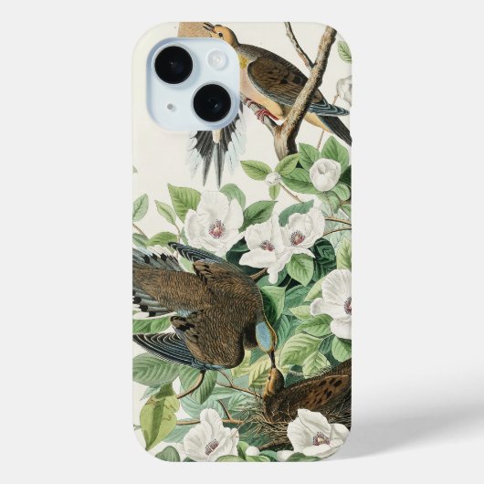 Coques Case-Mate iPhone La colombe matinale d’Audubon Carolina Peinture de (Verso)