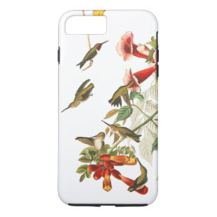 Case-Mate iPhone Case La faune d'oiseaux de colibri fleurit la caisse de
