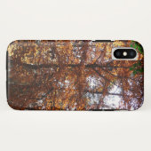 Coques Case-Mate iPhone La lumière du soleil dans l'arbre d'automne de la (Dos (Horizontal))