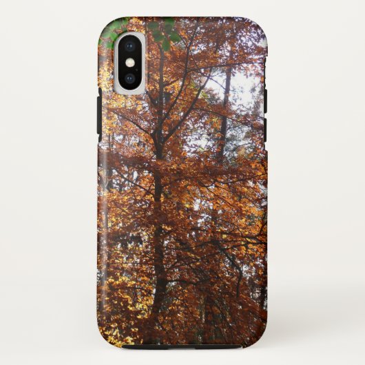 Coques Case-Mate iPhone La lumière du soleil dans l'arbre d'automne de la (Dos)