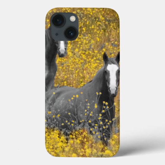 Coques Case-Mate iPhone La moutarde et les chevaux (Verso)