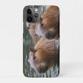Coques Case-Mate iPhone La Nage Des Capybaras Dans La Rivière, (Dos)