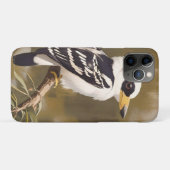 Coques Case-Mate iPhone La peinture australienne Kookaburra, (Dos (Horizontal))