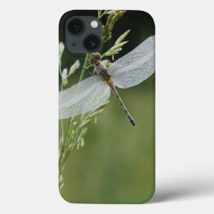 iPhone 13 Case La rosée a couvert la libellule de Darner