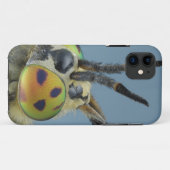 Coques Case-Mate iPhone La tête des cerfs communs volent (Dos (Horizontal))