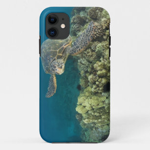 Coques Pour iPhone La tortue verte, (Chelonia mydas), est la 2