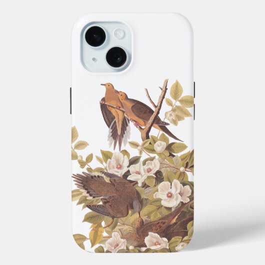 Coques Case-Mate iPhone La tourterelle de Caroline d'Audubon (Verso)
