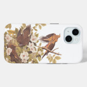 Coques Case-Mate iPhone La tourterelle de Caroline d'Audubon (Verso (horizontal))