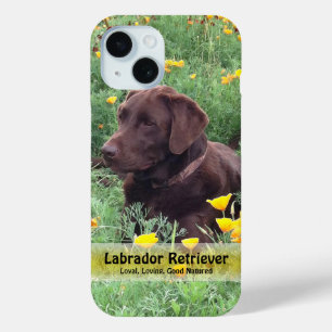 Coque Pour iPhone 15 Laboratoire de chocolat en Californie Patch de pav