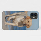 Coques Case-Mate iPhone Laboratoire d'été (Dos (Horizontal))