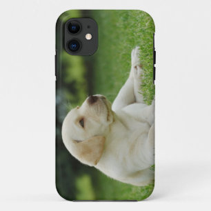 Coque Case-Mate Pour iPhone Laboratoire jaune