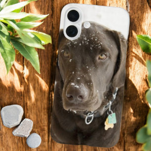 iPhone 16 Plus Case Labrador chocolat saupoudré de neige âme