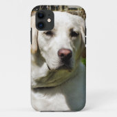 COQUES Case-Mate iPhone LABRADOR DOG (Dos)