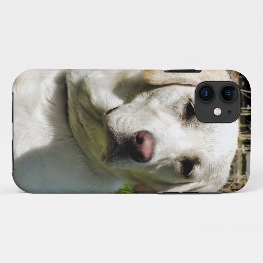 COQUES Case-Mate iPhone LABRADOR DOG (Dos (Horizontal))