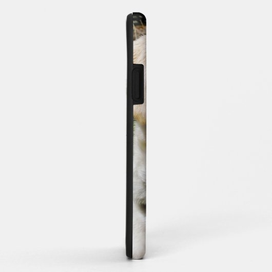 COQUES Case-Mate iPhone LABRADOR DOG (Dos/Droite)