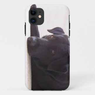 Coques Pour iPhone labrador retriever