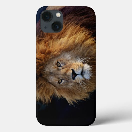Coques Case-Mate iPhone Lac Predator (Verso)