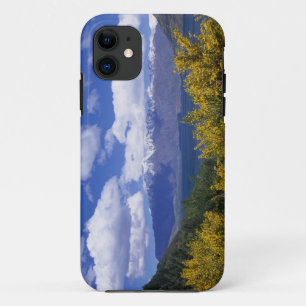 Etui iPhone Case-Mate Lac Wakatipu et The Remarkables, Queenstown,