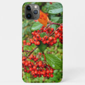 Coques Case-Mate iPhone lactée (Dos)