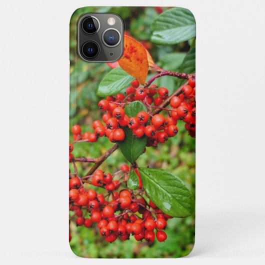 Coques Case-Mate iPhone lactée (Dos)