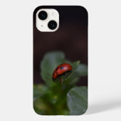 Coques Case-Mate iPhone Ladybug (Verso)