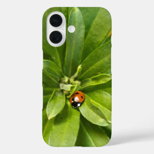 Coques iPhone 16 Ladybug