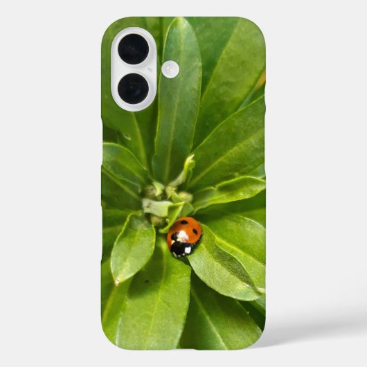 Coques Case-Mate iPhone Ladybug (Verso)