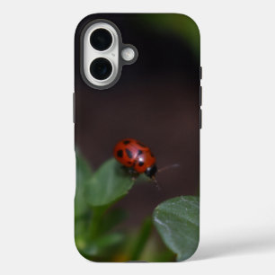 Coques iPhone 16 Ladybug
