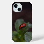 Coques Case-Mate iPhone Ladybug (Verso)