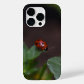 Coques Case-Mate iPhone Ladybug (Verso)