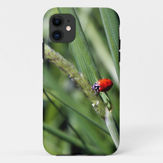 Coques Case-Mate iPhone Ladybug (Coccinellidae) (Dos)