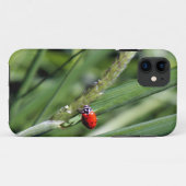 Coques Case-Mate iPhone Ladybug (Coccinellidae) (Dos (Horizontal))