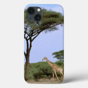 iPhone 13 Case L'Afrique, Botswana, delta d'Okavango. Du sud